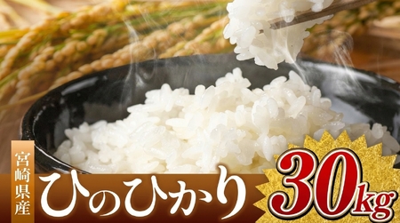令和7年産 ひのひかり 30kg ( 5kg × 6袋 ) ( 白米 ) 宮崎県産