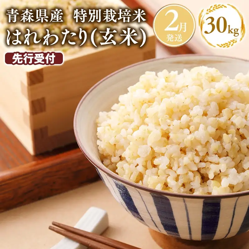 ≪令和8年産 先行予約≫ 特別栽培米 はれわたり玄米30kg(10㎏×3袋)[hi-0061-001-2]