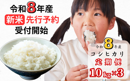 【令和8年産新米・先行予約】【3回定期便】あわくら源流米 コシヒカリ 白米 10kg｜西粟倉村産・昼夜寒暖差が育む甘み｜ふるさと納税 K-ag-BFCA