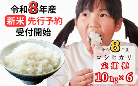 【令和8年産新米・先行予約】【6回定期便】あわくら源流米 コシヒカリ 白米 10kg｜西粟倉村産・昼夜寒暖差が育む甘み｜ふるさと納税 K-ag-CFCA