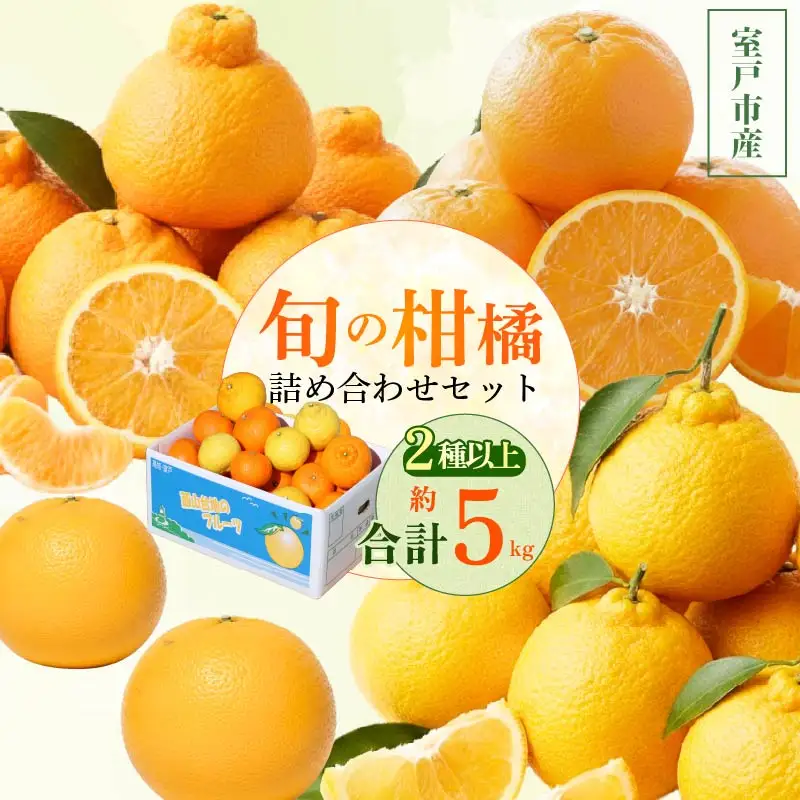 【 柑橘 詰め合わせ 5㎏ 】訳あり 柑橘