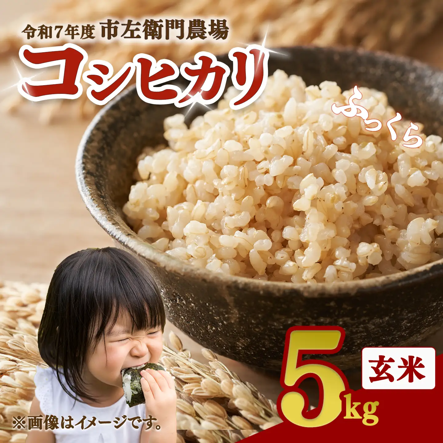 【玄米】令和7年産 コシヒカリ玄米 5kg 米