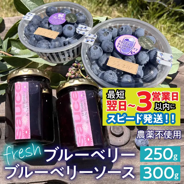 【最短寄付翌日～3営業日以内に発送！】南アルプス市産【農薬不使用】フレッシュブルーベリー250g+当ファーム自家製フレッシュソース2瓶SET ALPBL003