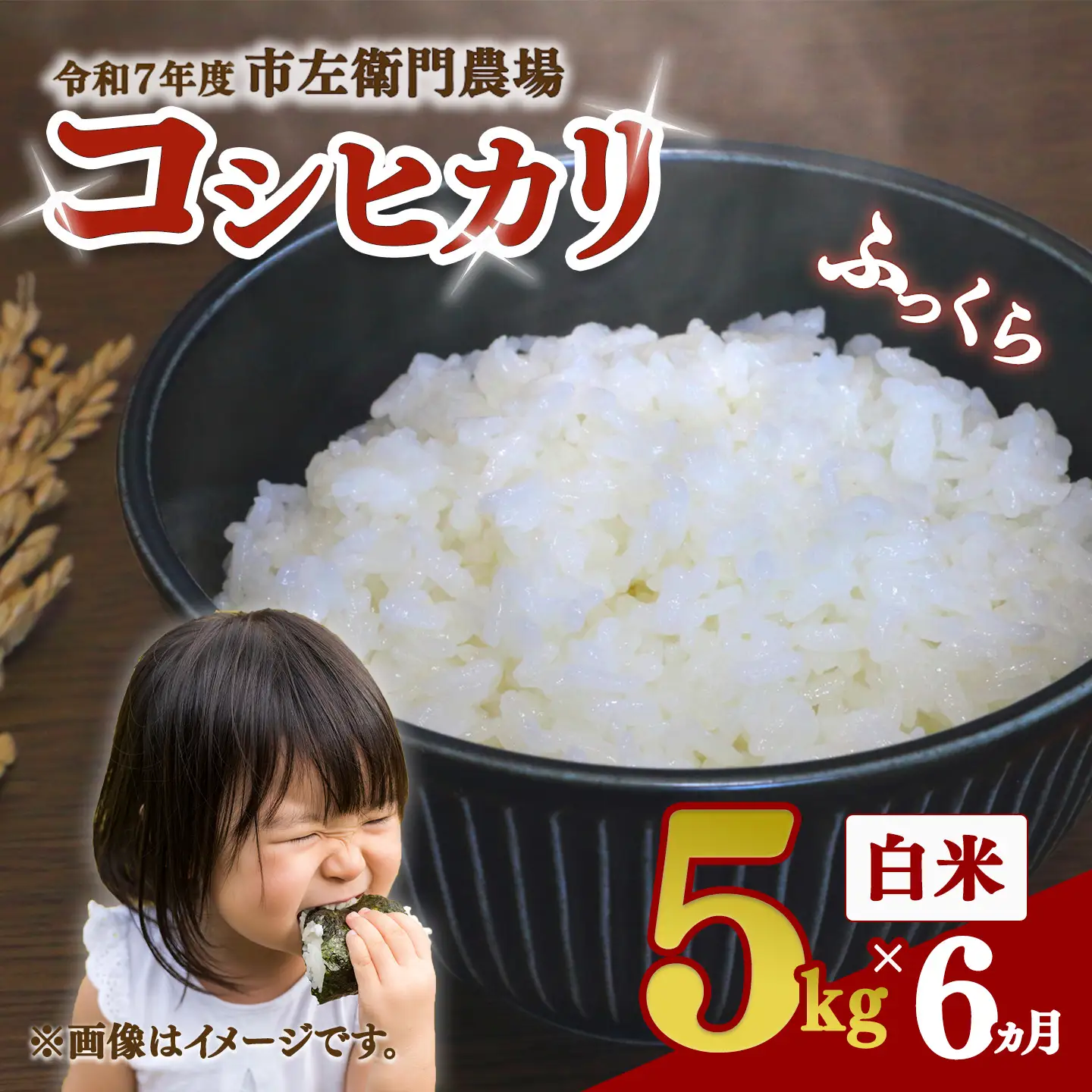 【定期便】令和7年産 コシヒカリ5kg×6回 こしひかり