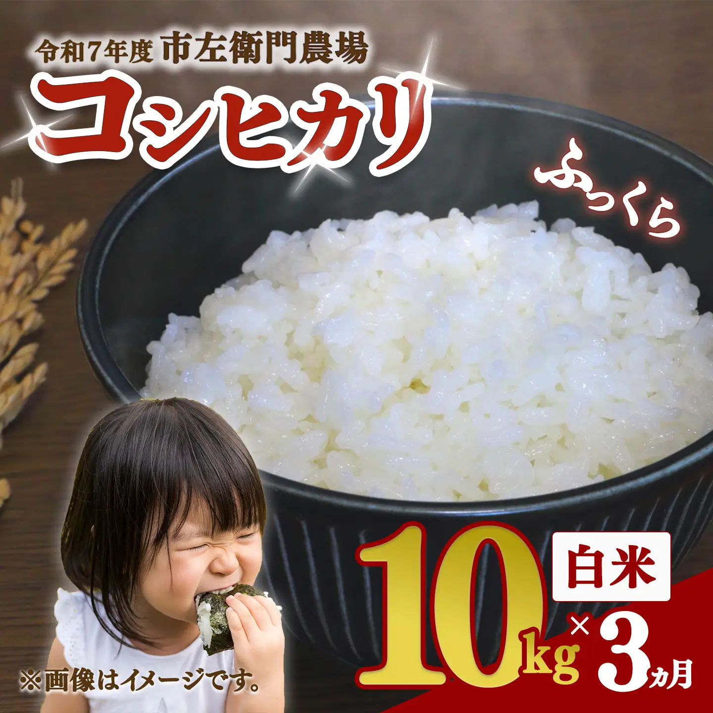 【定期便】米 令和7年産 コシヒカリ10kg×3回 こしひかり