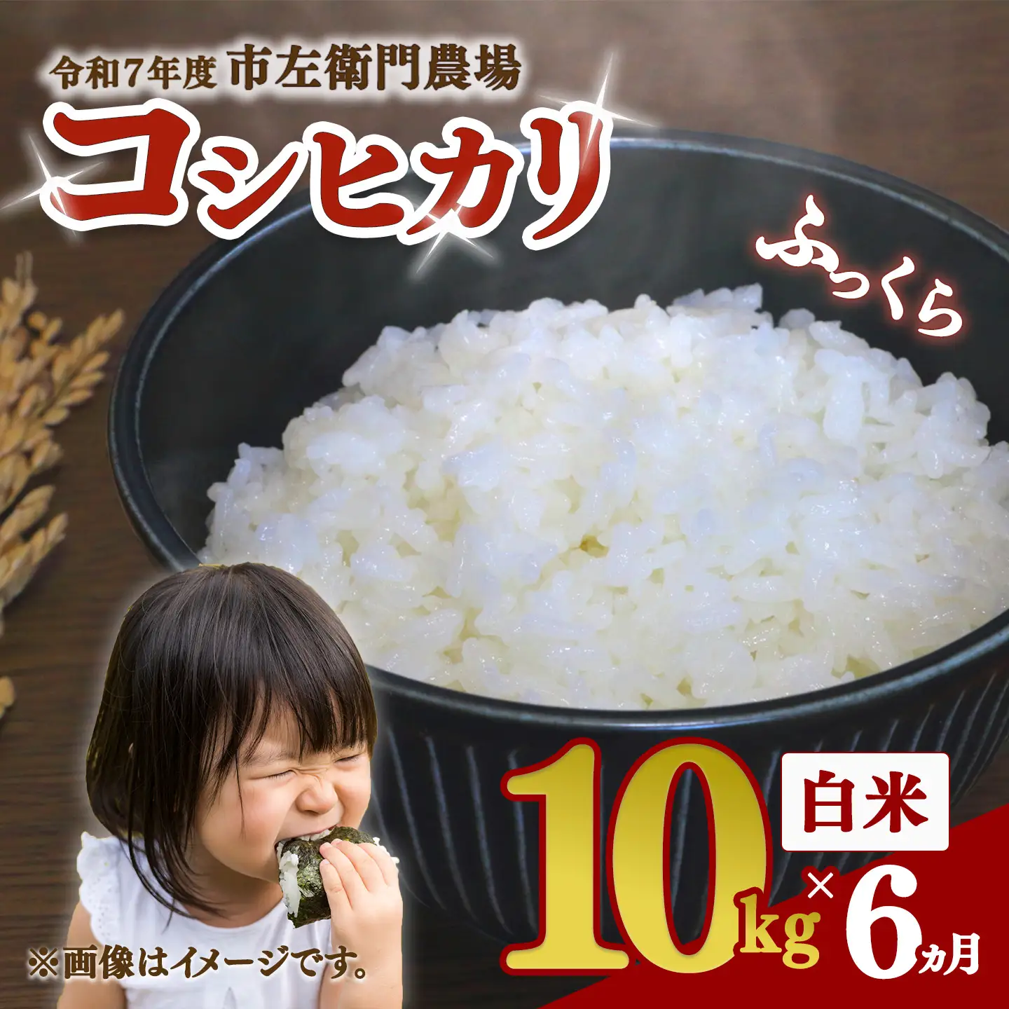 【定期便】令和7年産 コシヒカリ10kg×6回 こしひかり