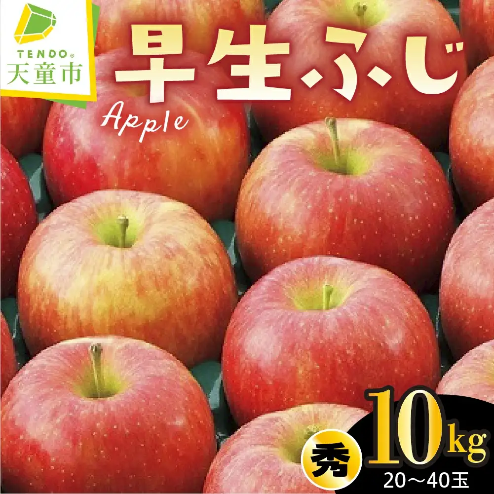 りんご ( 早生ふじ ) 10kg フルーツ 果物 山形