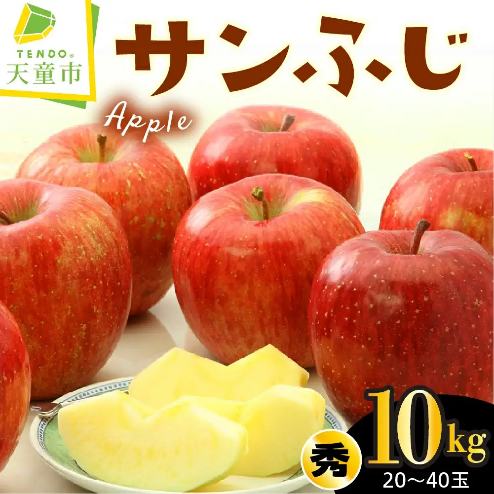 りんご ( サンふじ ) 10kg フルーツ 果物 山形