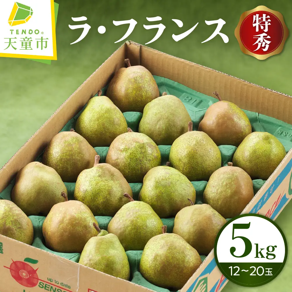 ラ・フランス 5kg フルーツ 果物 山形