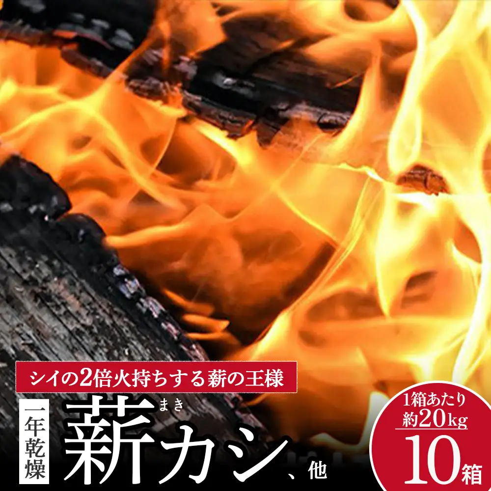 四万十の薪 1年乾燥 カシ他(約20kg)×10箱 Bnm-25／ アウトドア キャンプ 薪 乾燥 まき キャンプファイヤー 薪ストーブ 焚き火 焚火 森林 林業 サウナ