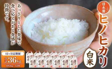 【定期便】日永園 ヒノヒカリ 白米3kg×12ヶ月 【2025年11月下旬より発送予定】 米 お米 ご飯  うきは市