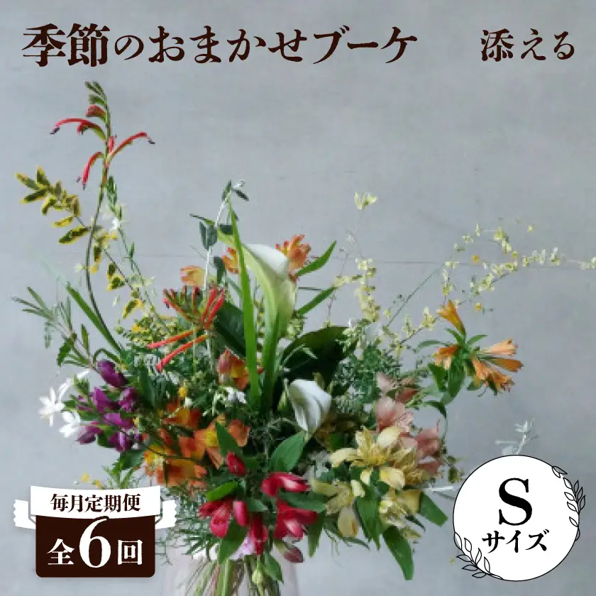 【毎月定期便】季節のおまかせブーケ(Sサイズ) 定期便全6回【配送不可地域：離島】【4082421】