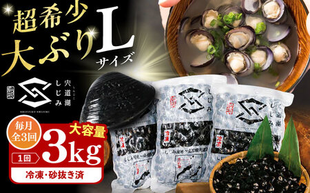 【全3回定期便】地元でも入手困難なレアサイズ！ Lサイズ 宍道湖産ヤマトシジミ(冷凍砂抜き済み)1kg×3袋(3kg) 島根県松江市/宍道湖漁業協同組合[ALAZ006]