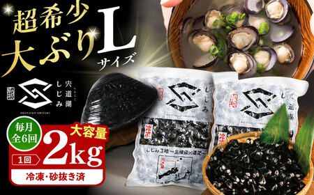 【全6回定期便】地元でも入手困難なレアサイズ！ Lサイズ 宍道湖産ヤマトシジミ(冷凍砂抜き済み)1kg×2袋(2kg) 島根県松江市/宍道湖漁業協同組合[ALAZ010]