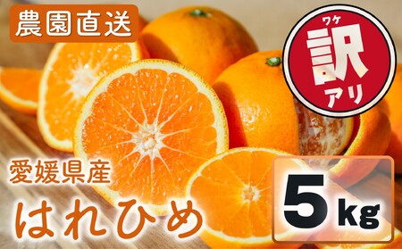 訳あり はれひめ 約5kg (40-50個程度) 【2027年1月上旬頃から順次発送】【MCF0212】