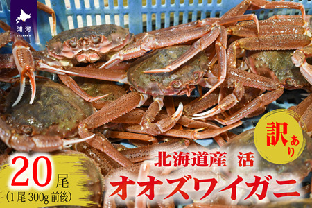 訳あり 活オオズワイガニ300g前後×20尾[02-1567]