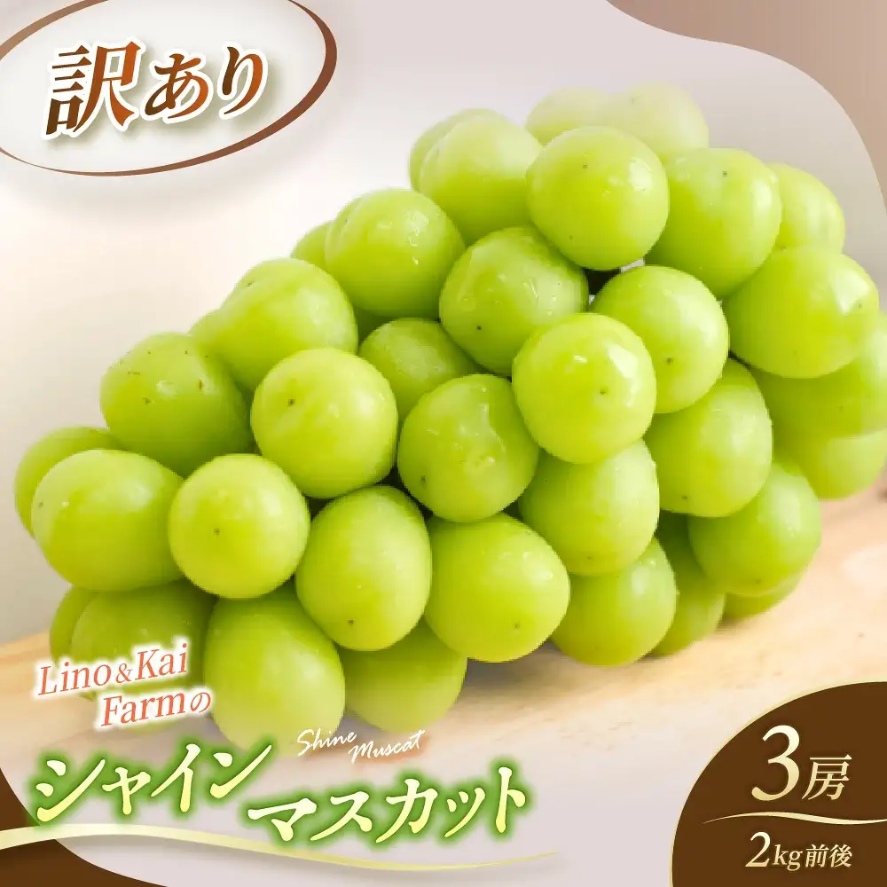 【2026年先行予約】 【訳あり】 Lino＆Kai Farmのシャインマスカット 3房前後(2kg前後）化粧箱入 【linokai013-01】