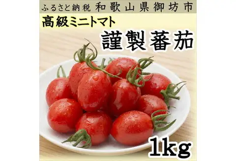 高級ミニトマト 謹製蕃茄 1kg【0534-1】