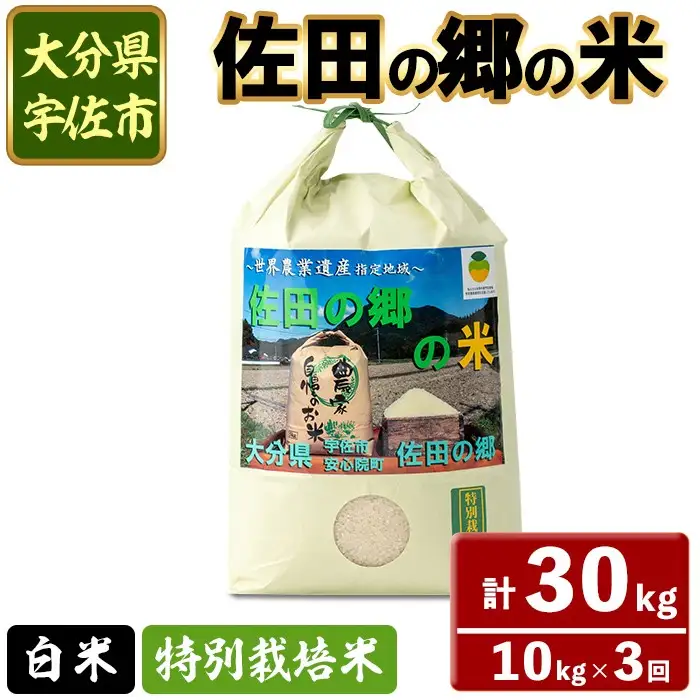 ＜定期便・総３回＞＜令和7年産＞佐田の郷の米 特別栽培米(計30kg)お米 白米 ごはん ヒノヒカリ ひのひかり ブランド米 常温 常温保存【211700800】【雅設置プロジェクト　佐田の郷の会】