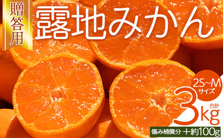 【贈答用】露地みかん 約3kg 小玉ミカン 先行受付 om-0002