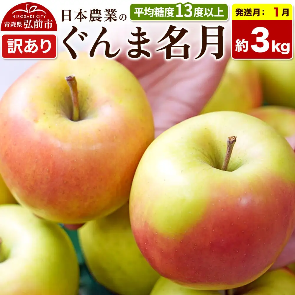 【27年1月発送】りんご ぐんま名月【訳あり】約3kg 平均糖度13度以上 青森県 弘前市 果物 フルーツ 林檎 リンゴ くだもの 不揃い 規格外