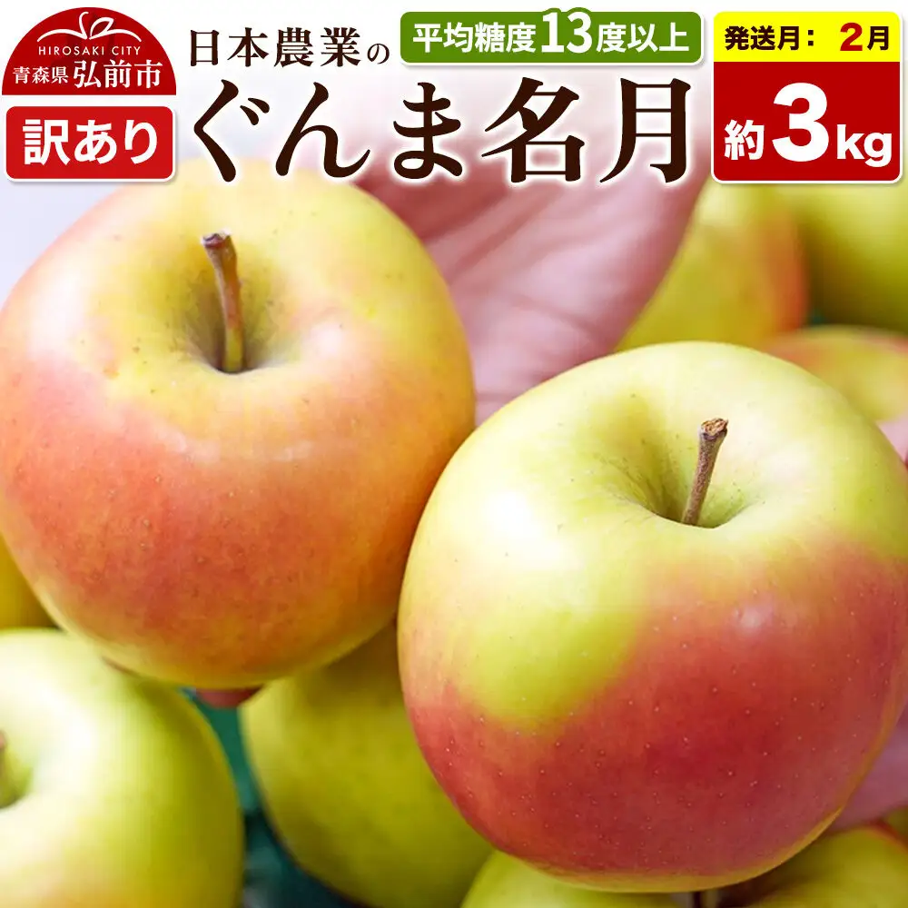 【27年2月発送】りんご ぐんま名月【訳あり】約3kg 平均糖度13度以上 青森県 弘前市 果物 フルーツ 林檎 リンゴ くだもの 不揃い 規格外