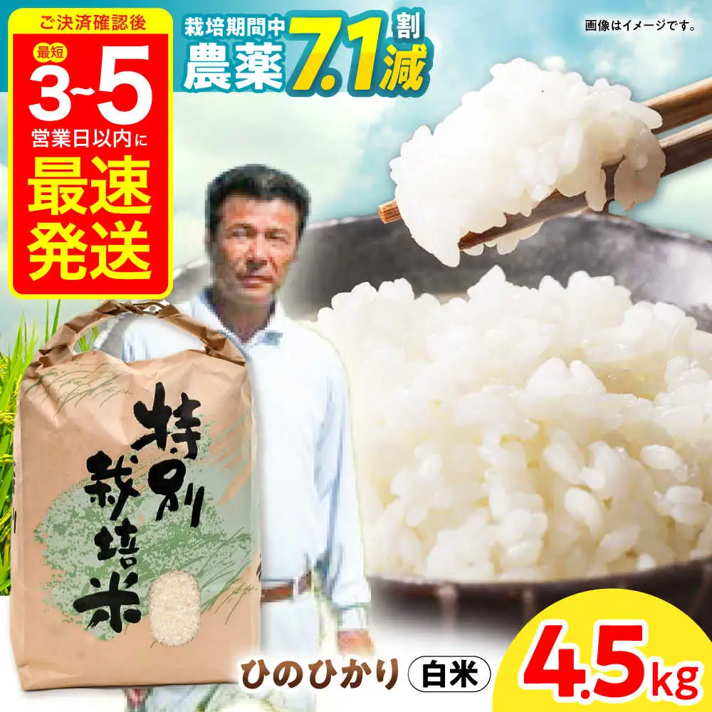 【R7年産】九州のこだわり「ひのひかり」白米 4.5kg / 米 こめ コメ お米 おこめ 白米 精米 白ご飯 ひのひかり ヒノヒカリ 長崎県産 / 諫早市 / 上島農産[AHAS014]