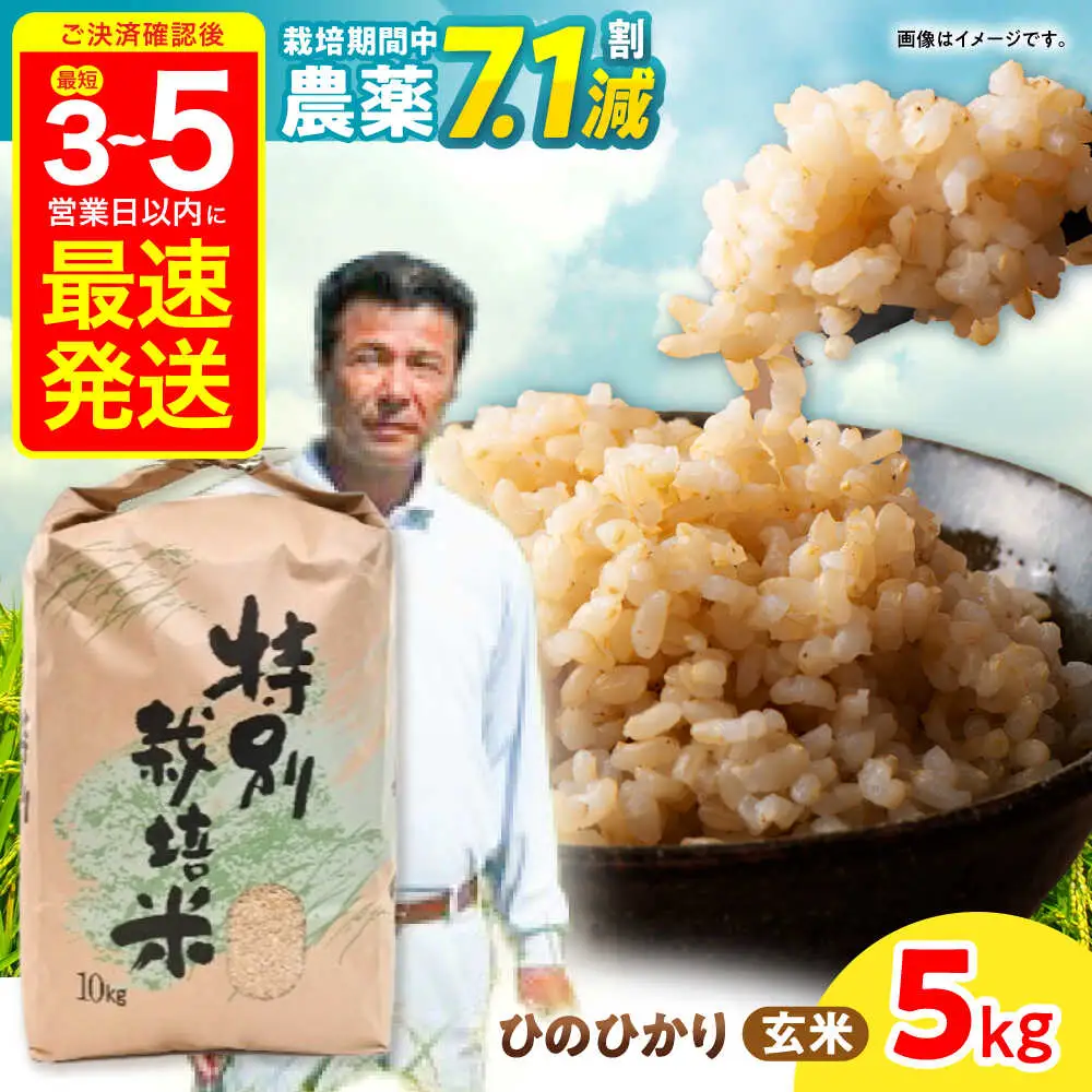 【R7年産】九州のこだわり「ひのひかり」玄米 5kg / 米 こめ お米 おこめ 玄米 げんまい ひのひかり ヒノヒカリ 長崎県産 / 諫早市 / 上島農産[AHAS015]