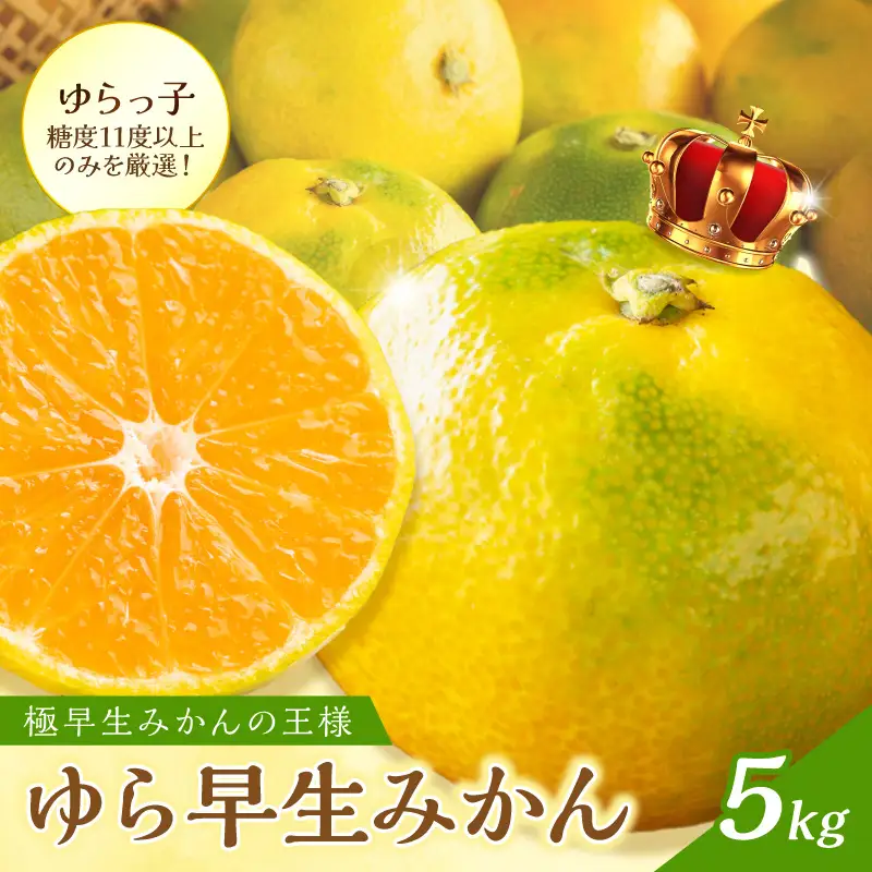 御坊市・日高川町・由良町産 ゆら早生みかん（ゆらっ子）5kg《先行予約》【0552-3】