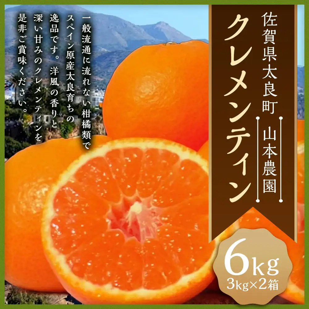 山本農園のクレメンティン 6kg （3kg × 2箱） 【2027年1月下旬-3月上旬】 クレメンティン 希少 ヨーロッパ生まれ スペイン原産 太良みかん みかん ミカン 蜜柑 フルーツ くだもの 果物 太良町 国産 甘い 美味しい 佐賀県 太良町 NC9x2