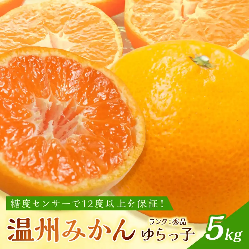 御坊市・日高川町・由良町産 温州みかん（ゆらっ子）5kg《先行予約》【0553-3】
