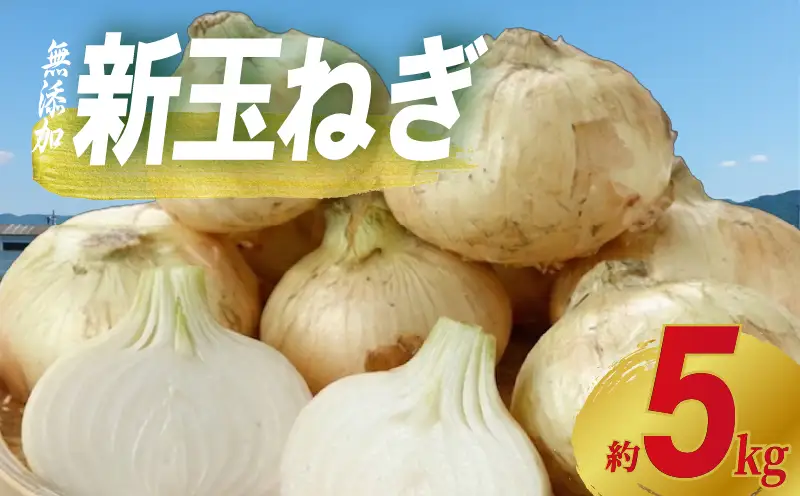 新たまねぎ 約5kg 先行予約 【たまねぎ】