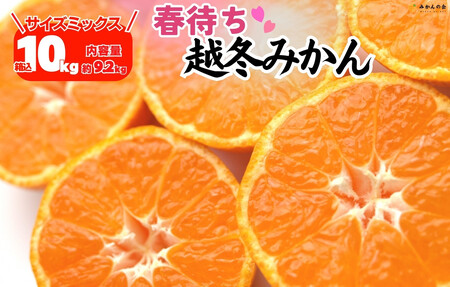 みかん 春待ち 越冬みかん 箱込10kg(内容量9.2kg) 等級／サイズミックス 和歌山県産 産地直送