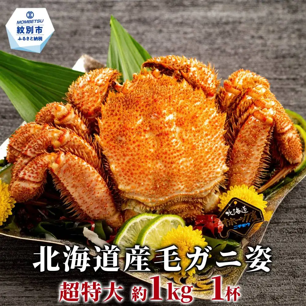 23-88 【超特大】北海道産毛ガニ　約1kg×1杯
