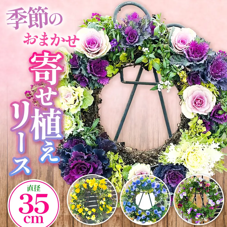 季節のお花の寄せ植えリース35センチ | フラワー リース インテリア 癒し かわいい 兵庫県 上郡町