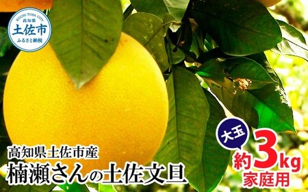 【先行予約】楠瀬さんの土佐文旦 家庭用大玉 約3.5kg 約3.5キロ 2L〜4L〈2027年2月15日〜2027年4月5日発送〉 ぶんたん ブンタン 文旦 フルーツ 柑橘 みかん 果物 くだもの 柑橘類 デザート おやつ さっぱり おいしい 甘い お取り寄せ 国産【まる庄果樹園】[BQAF021]