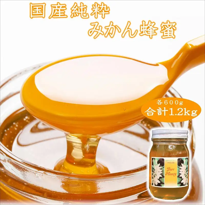 【0438-5】紀州のみかん蜜セット600g×2本