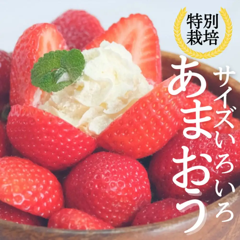 【先行予約受付中】【2026年12月以降順次発送】特別栽培あまおう4パック(サイズミックス)【うるう農園】_HA1968
