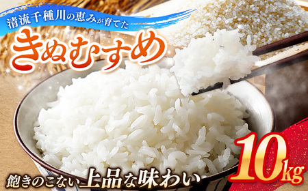 令和8年産 上郡町からのお米 きぬむすめ10kg | お米 きぬむすめ 美味しい 国産 兵庫県 上郡町
