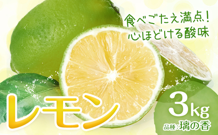 レモン 璃の香 3kg レモン