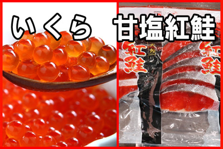 いくら醤油漬け100g×2P、紅鮭切身5切×4P C-30024