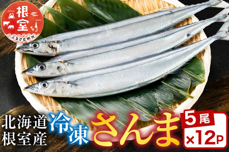 【北海道根室産】冷凍さんま60尾 D-30002