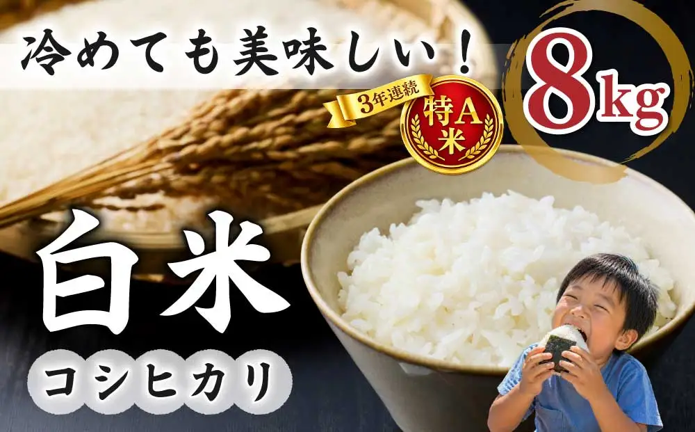 白米8kg（4kg×2袋）  特A米 冷めても美味しいコシヒカリ【小田農園】｜最短4〜7日程度でお届け　※着日指定不可