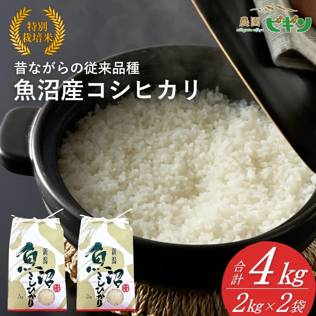 【令和7年】 昔ながらの魚沼産コシヒカリ 精米4kg(2キロ×2) 従来品種 農園ビギン | おこめ 特A評価 小千谷市 コシヒカリ