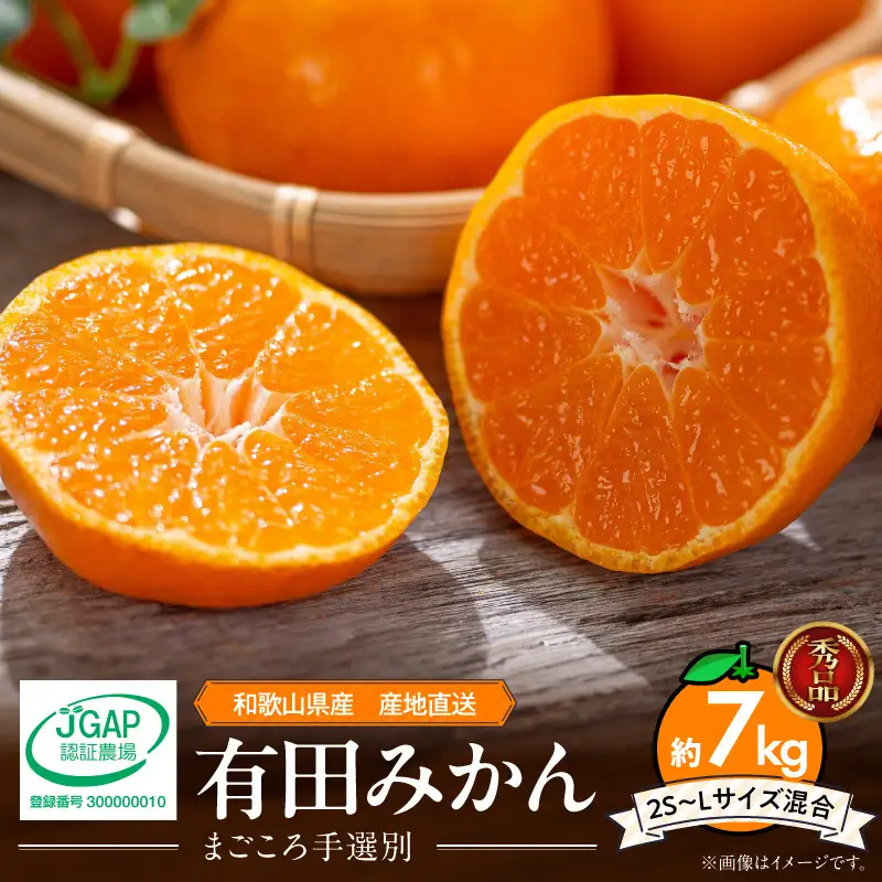 【2026年先行予約】【秀品】和歌山県産 有田みかん 約7kg (2S～Lサイズ混合)【まごころ手選別】_ZE6518