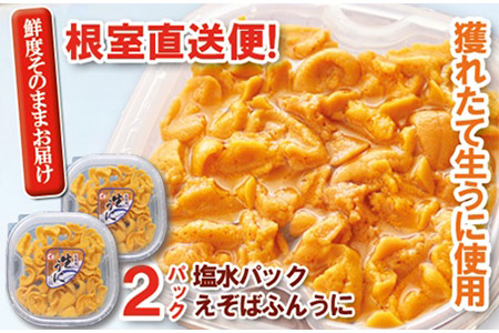 エゾバフンウニ塩水パック70～80g×2P[10月下旬以降発送] B-40022