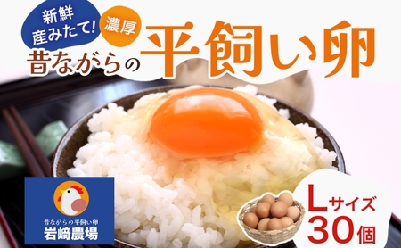 埼玉県蓮田市 平飼い卵 30個入 Lサイズ 玉子 新鮮 濃厚 コク 卵黄 鶏卵 タマゴ ギフト 卵セット 贈り物 プレゼント 食品 食材 朝ごはん 家族 団らん 朝食 昼食 ランチ 贅沢 お弁当