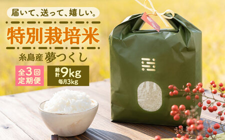 【全3回定期便】とくべつの中のとくべつ 特別栽培米 3kg 夢つくし 吉富町/(株)やました[BGBX002]