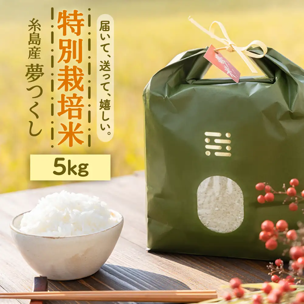 とくべつの中のとくべつ 特別栽培米 5kg 夢つくし 吉富町/(株)やました[BGBX005]