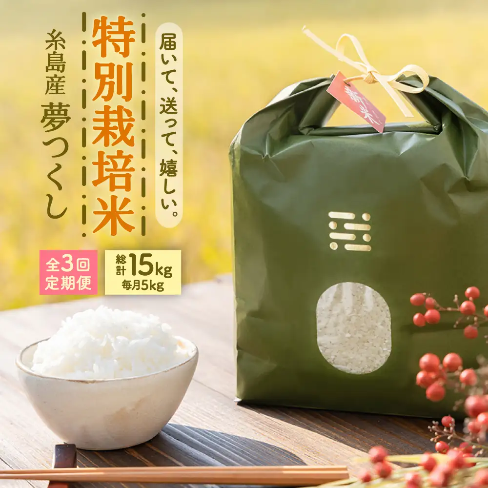 【全3回定期便】とくべつの中のとくべつ 特別栽培米 5kg 夢つくし 吉富町/(株)やました[BGBX006]